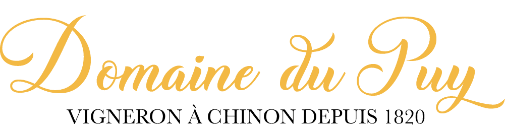 logo-jaune-et-noir.png