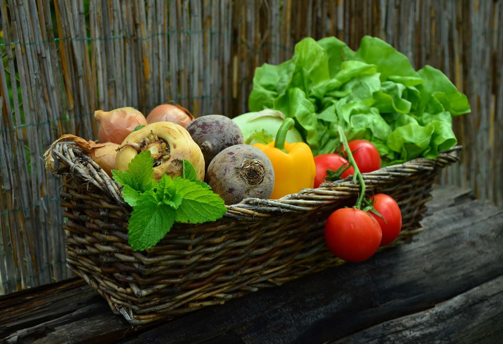 fruits_legumes.potager_vieille_poste_-_credit_photo_congerdesign_-_pixabay-1.jpg