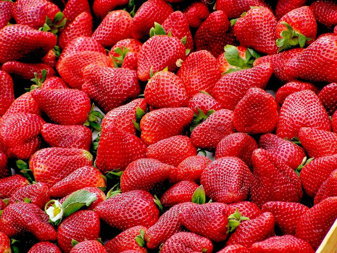 strawberries-99551_1280.jpeg