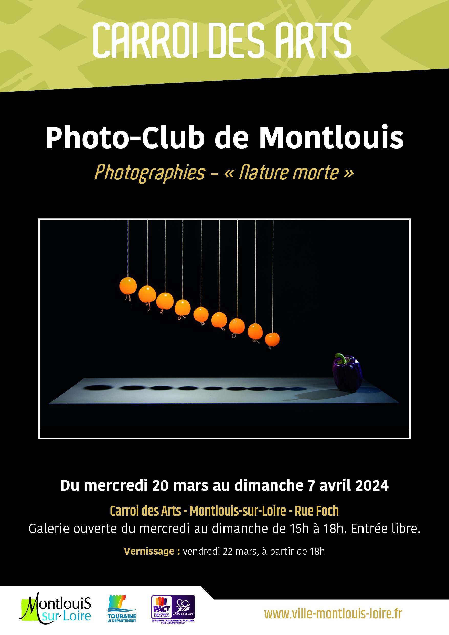 Exposition du Photo-club de Montlouis