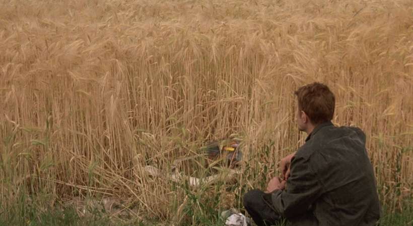 Cycle Peinture et cinéma