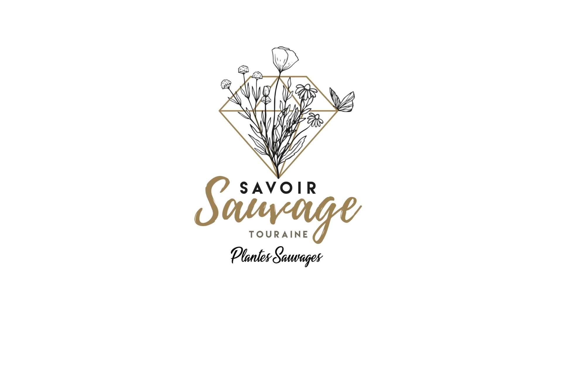 logo_illustration_plantes_sauvages.jpg
