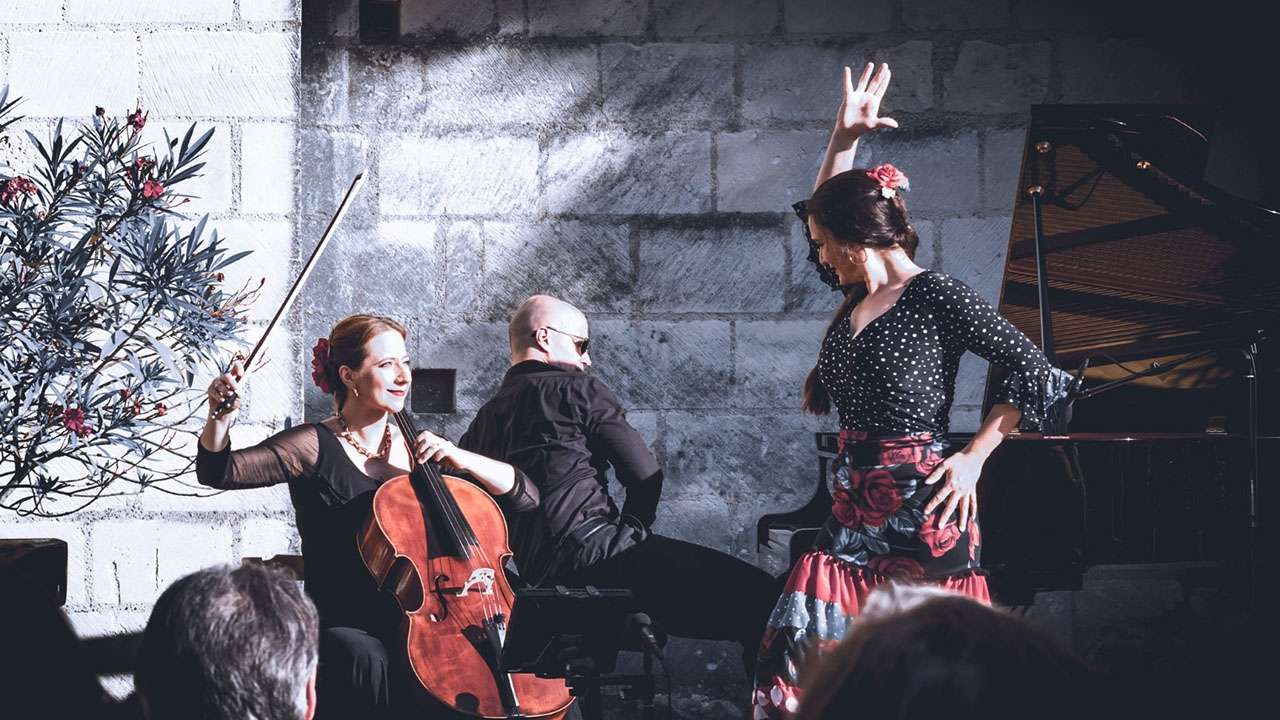 20241113-flamenco-vignettehelloasso.jpg