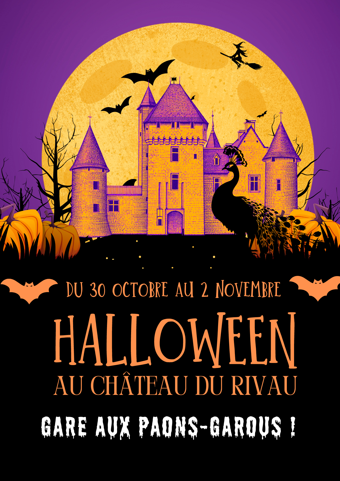 Halloween au Château du Rivau (37) 