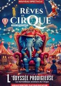 le-cirque-classico-dans-reves-de-cirque-t6y.jpeg-48922743.jpeg