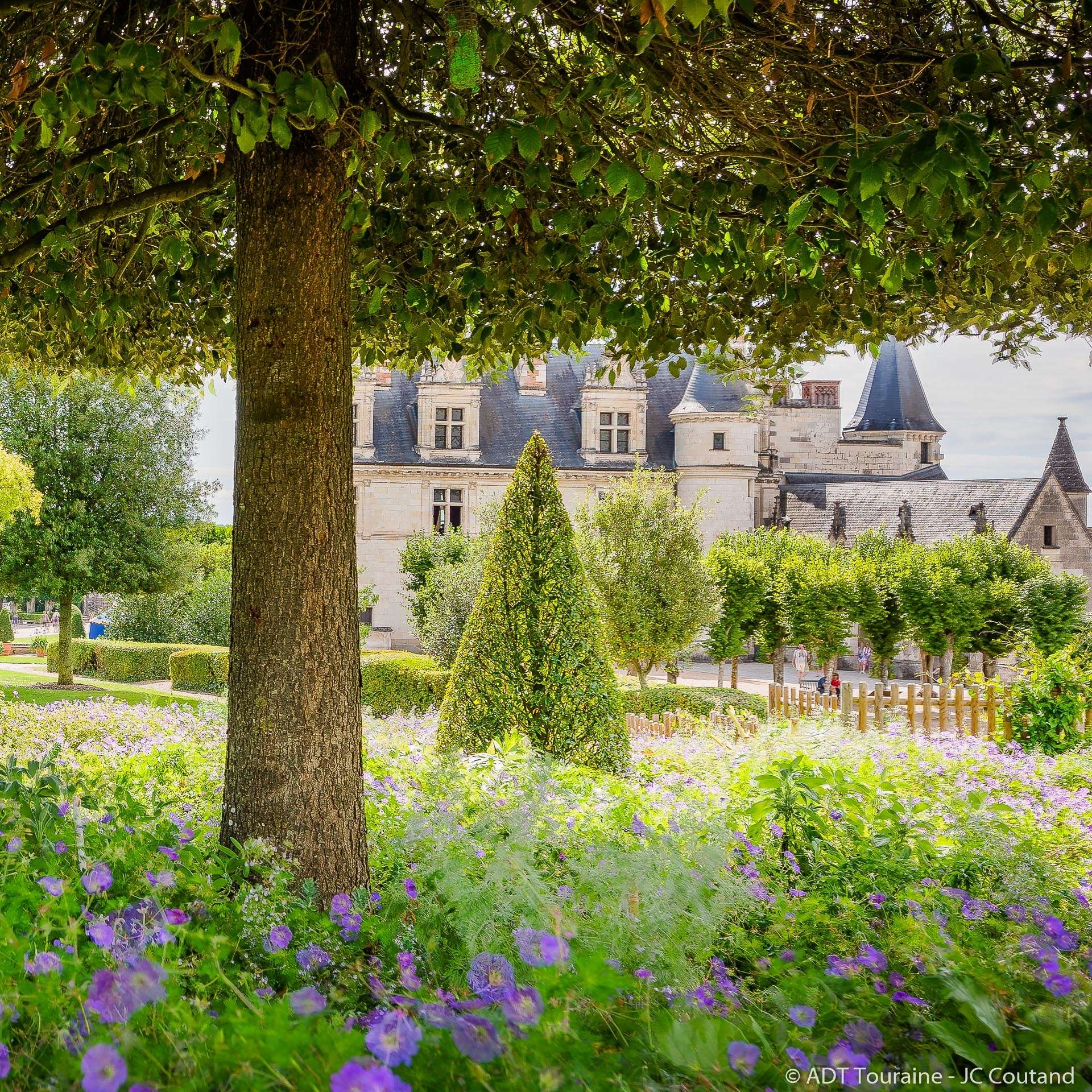 Photo des jardins du château royal d'Amboise