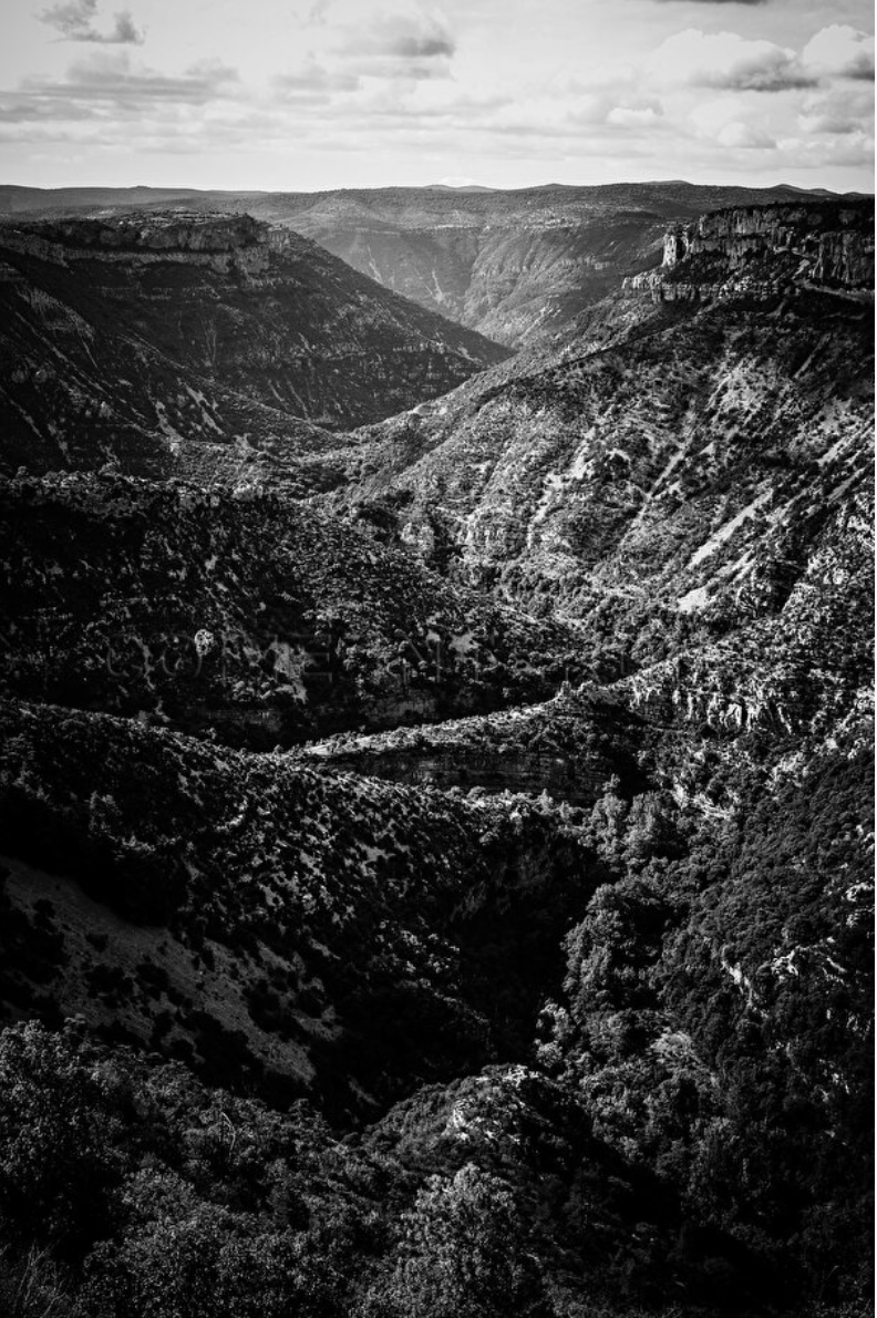 Exposition de Bernard Lutton | Le Prog