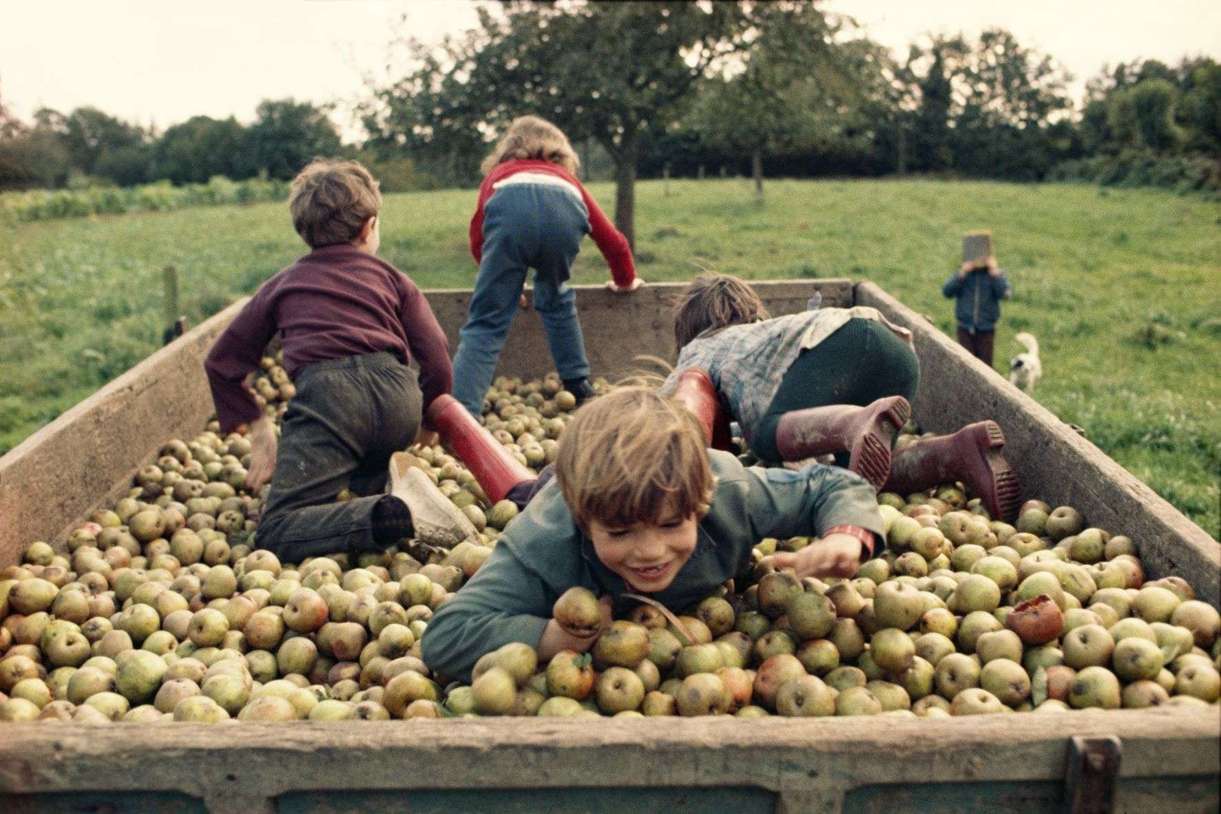 Photo.d'enfants qui jouent dans un tas de pommes