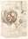 Léonard de Vinci, Foetus dans l’utérus (fac-similé) © Château du Clos Lucé – Parc Leonardo da Vinci / Photo : Léonard de Serres
