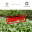Un jardin ecosysteme savoir sauvage touraine moulin de malicorne sainte maure de touraine saint epain plante biodiversité.png