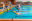 championnat-natation.png